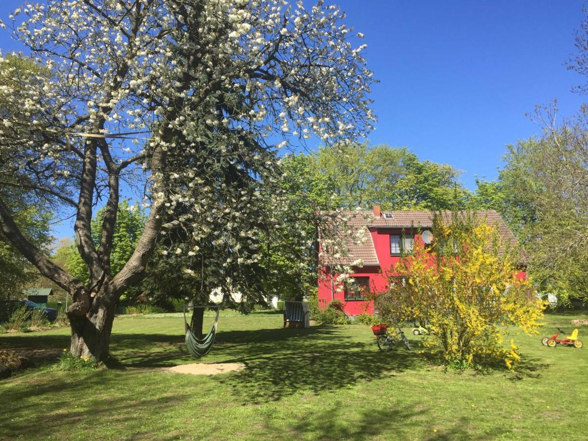 Ferienhaus 1 _ Ferien Im Gutspark Mattchow Exteriör bild